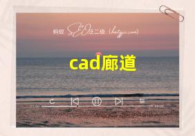 cad廊道