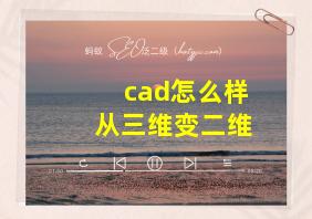 cad怎么样从三维变二维