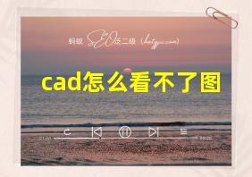 cad怎么看不了图