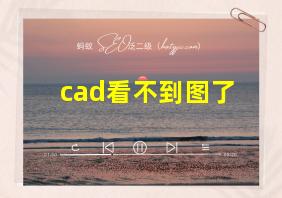 cad看不到图了