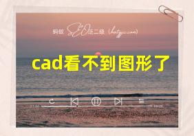 cad看不到图形了