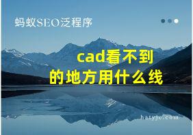 cad看不到的地方用什么线