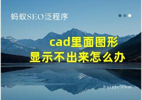 cad里面图形显示不出来怎么办