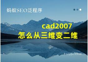 cad2007怎么从三维变二维