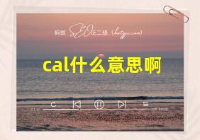 cal什么意思啊