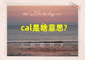 cal是啥意思?