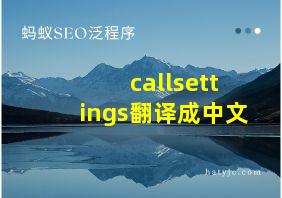 callsettings翻译成中文