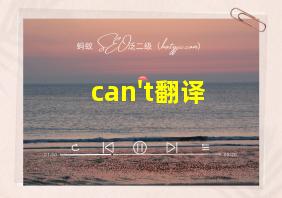 can't翻译