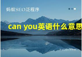 can you英语什么意思