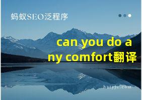 can you do any comfort翻译