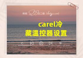 carel冷藏温控器设置