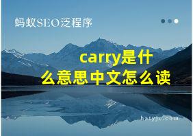 carry是什么意思中文怎么读