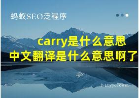 carry是什么意思中文翻译是什么意思啊了