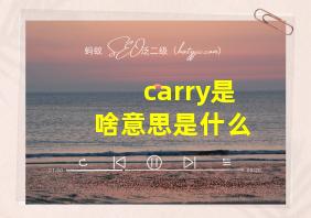 carry是啥意思是什么