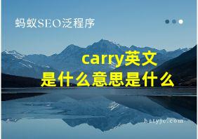 carry英文是什么意思是什么