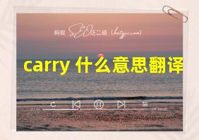 carry 什么意思翻译