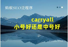 carryall小号好还是中号好