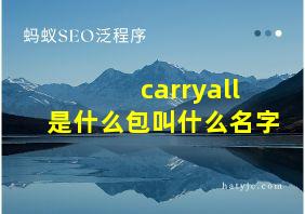 carryall是什么包叫什么名字