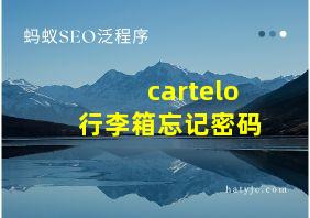 cartelo行李箱忘记密码