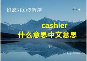 cashier什么意思中文意思