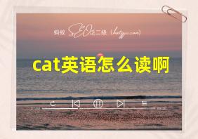 cat英语怎么读啊