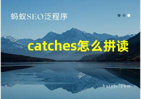 catches怎么拼读