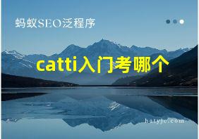 catti入门考哪个