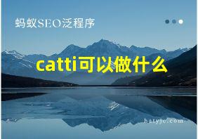 catti可以做什么