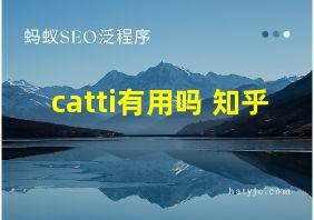 catti有用吗 知乎