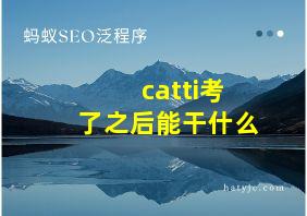 catti考了之后能干什么