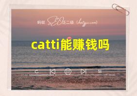 catti能赚钱吗