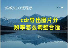 cdr导出图片分辨率怎么调整合适