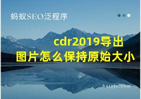 cdr2019导出图片怎么保持原始大小