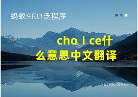 choⅰce什么意思中文翻译