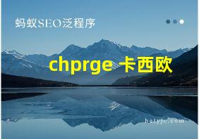 chprge 卡西欧