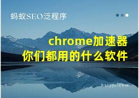 chrome加速器你们都用的什么软件