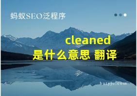 cleaned是什么意思 翻译