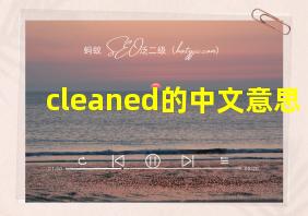 cleaned的中文意思