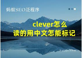 clever怎么读的用中文怎能标记