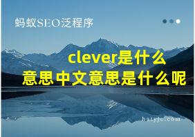 clever是什么意思中文意思是什么呢