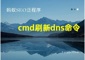 cmd刷新dns命令