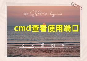 cmd查看使用端口