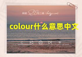 colour什么意思中文