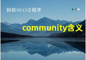 community含义