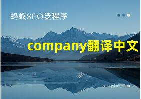 company翻译中文