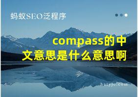 compass的中文意思是什么意思啊