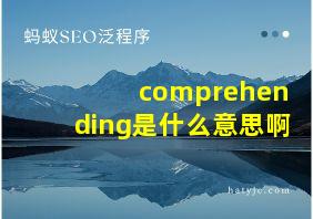 comprehending是什么意思啊