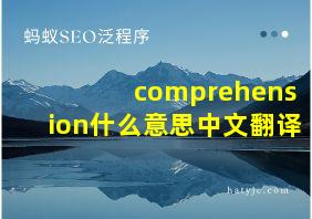 comprehension什么意思中文翻译