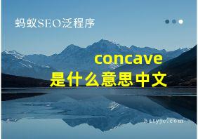 concave是什么意思中文