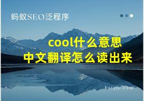 cool什么意思中文翻译怎么读出来